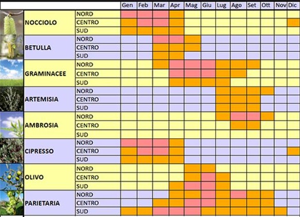 calendario pollinico