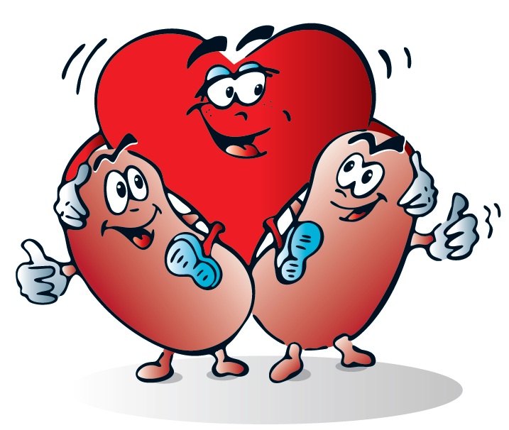 cuore reni