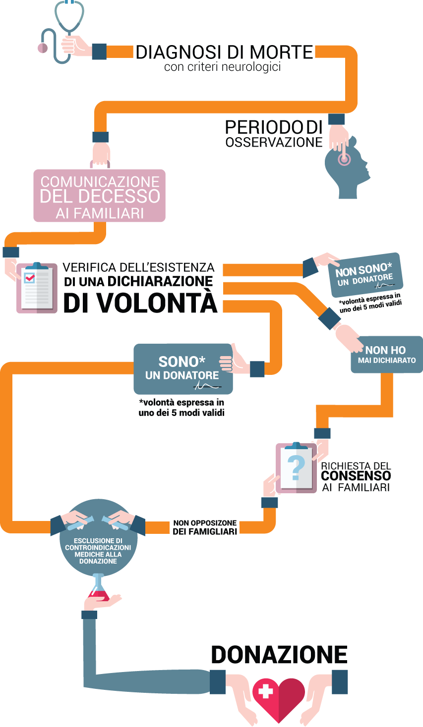 Grafico donazione organi